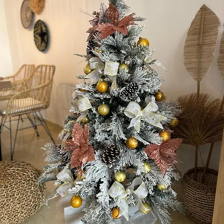 El Nautico Coral - Oceanview Escape