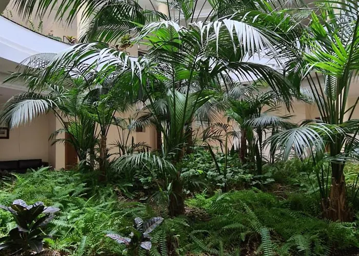 El Nautico Coral - Oceanview Escape דירה סן מיגל דה אבונה