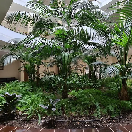 El Nautico Coral - Oceanview Escape 公寓 圣米格尔德阿沃纳